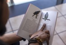 Difunden inventario de aves que habitan en CUAltos