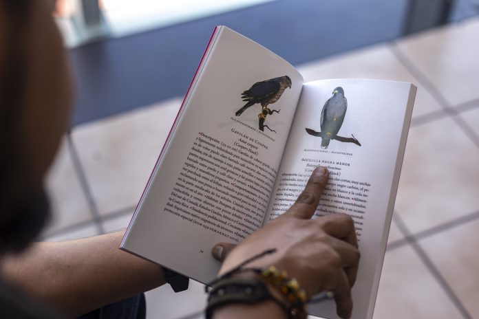 Edgar Campechano Espinoza 4