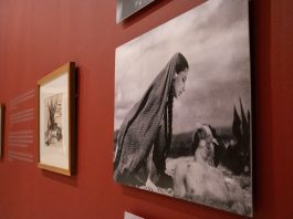 Vive las vacaciones en el MUSA