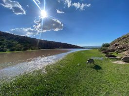 Sistemas xerorribereños carecen de protección en región Altos Norte