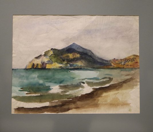 Inauguran en el MUSA la exposición «La naturaleza íntima de la vida»