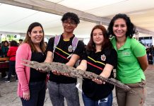 La colección biológica del CUCSur recorrerá la Red Universitaria