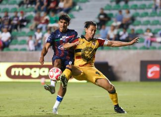 Leones Negros prepara cierre de torneo