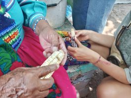 Comparten en CUCS conocimientos de la dieta de la milpa tradicional