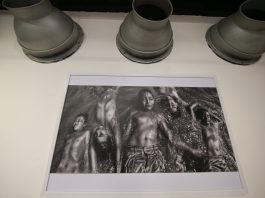 Wunder kamer: la cámara de las maravillas