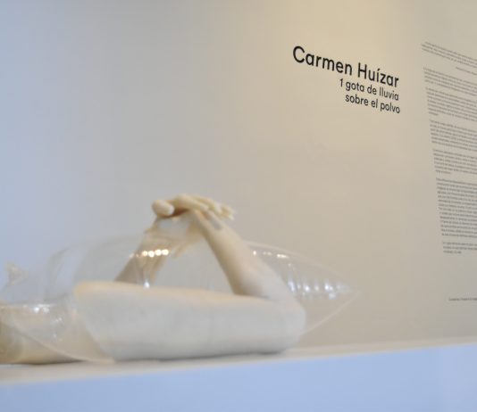 “Una gota de lluvia sobre el polvo”, el Legado Grodman florece en una nueva exposición