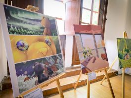 “Inspirantes, trazando caminos” en la Preparatoria de Jalisco