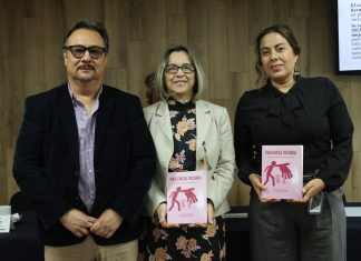 Burocracia y corrupción en Jalisco impiden formalización de denuncias por violencia vicaria