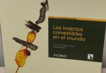 Consumo de insectos: de tradición ancestral a alternativa del futuro