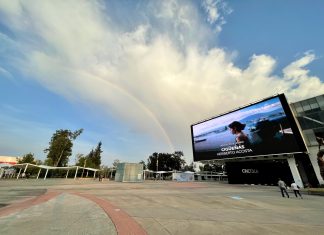 UdeG invita al FutFest 2026: futbol y entretenimiento en el CCU