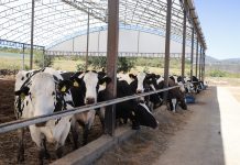 Pensar la producción agroalimentaria desde lo local ante la crisis climática