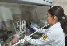 Investigaciones clave para mejorar la atención del cáncer en Jalisco