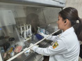 Investigaciones clave para mejorar la atención del cáncer en Jalisco