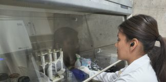 Investigaciones clave para mejorar la atención del cáncer en Jalisco