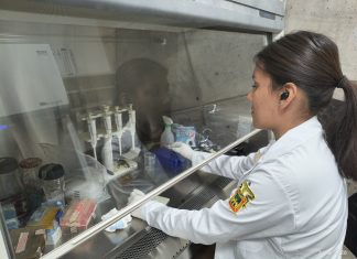 Investigaciones clave para mejorar la atención del cáncer en Jalisco