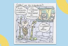 Cartón Jis