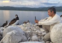 Tres décadas de estudio de las aves acuáticas desde el CUCSur