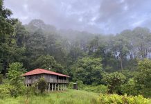 Sierra de Manantlán: un laboratorio natural para entender el futuro de los bosques