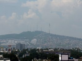 Concluyó con éxito primera fase de reforestación del Cerro del Cuatro