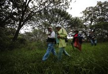 Diplomado en Baños de bosque, una estrategia de salud pública y conservación ambiental