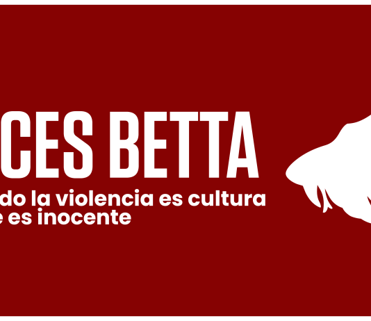 Cortometraje “Peces betta” obtiene estímulo Proyecta 2026