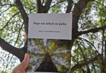 Julio César Barba y su travesía de estudiante a autor