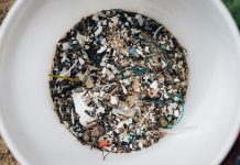 La naturaleza contra los plásticos: una opción para combatir la contaminación
