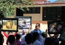 Un manual para concientizar a infancias sobre la conservación del jaguar