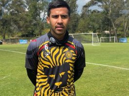 Leones Negros busca afianzarse en la cima